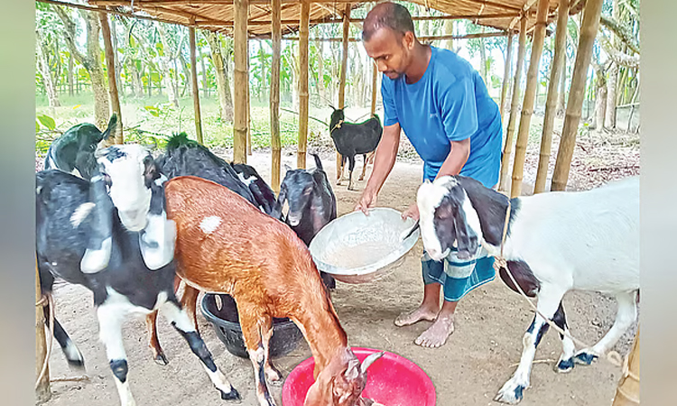 Rajbari youth changes fortune with just Tk 500 capital