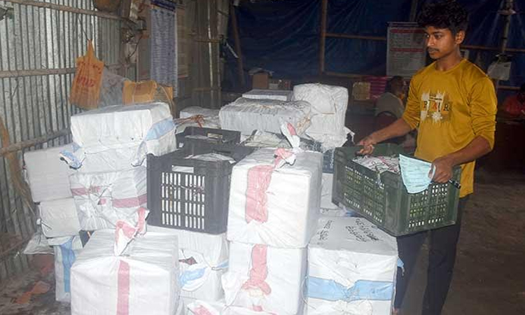 Rajshahi's crore-taka mango trade moves online