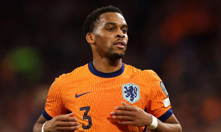 Netherlands' Timber ruled out of World Cup