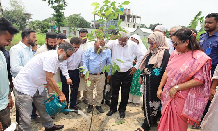 Tree plantation programme launched in Munshiganj 