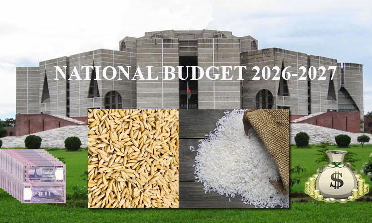 Govt. allocates over Taka 32,414 cr for food safety 