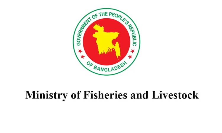 Govt allocates over Tk 2,727cr for fisheries and livestock sector in FY 2026-27