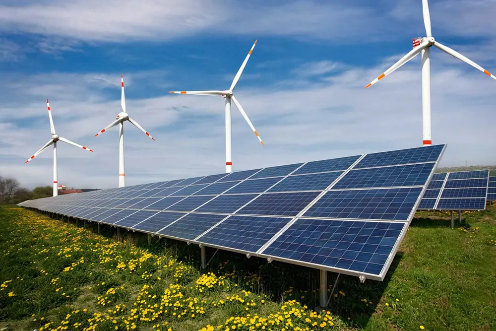 Govt eyes meeting 20pc of electricity demand from renewable sources by 2030