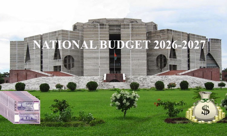 ActionAid, JETnet-BD welcome renewable energy tax incentives in FY27 budget
