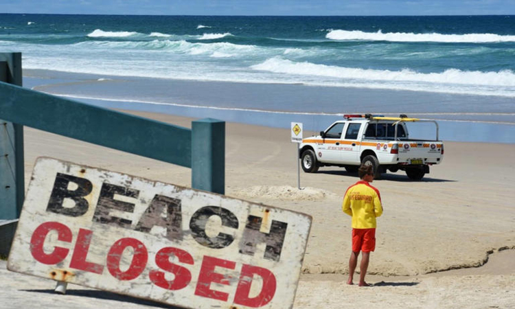 Woman critically injured after shark mauling at Australia's Coogee Beach