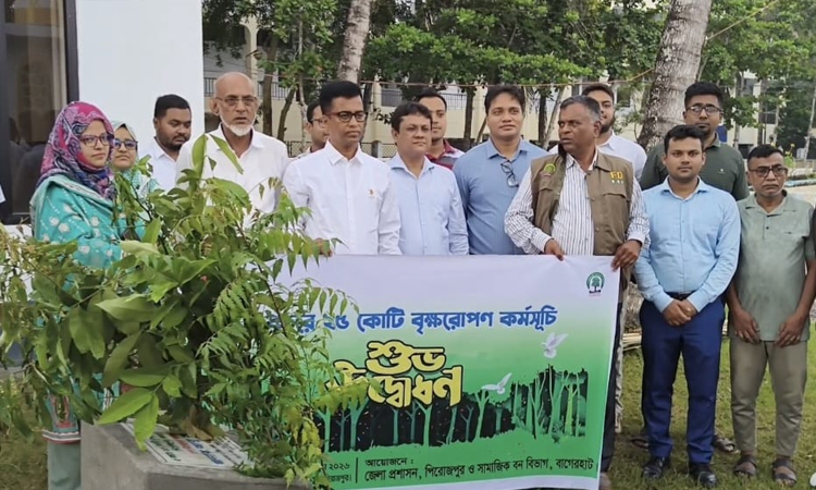 Tree plantation programme inaugurated in Pirojpur