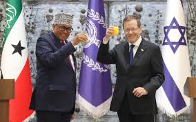 Somaliland president makes 'historic' visit to Israel