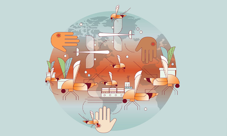 Scientist confronting the rising global threat of mosquitoes