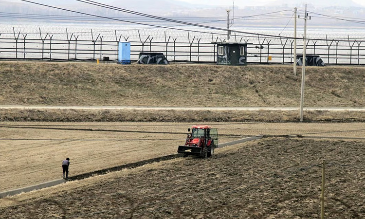 North Korea's push for dry-field rice reflects drought concerns: experts