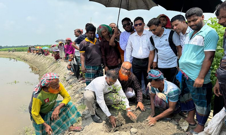 5-km canal re-excavation, 2,000-tree plantation drive launched in Rajbari