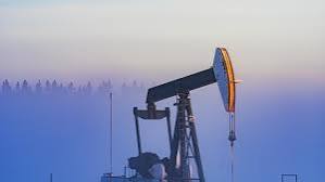 OECD oil stocks fall to lowest level since 1990: IEA