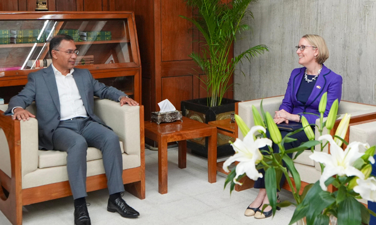 UK envoy calls on PM, expresses interest in investment in aviation sector