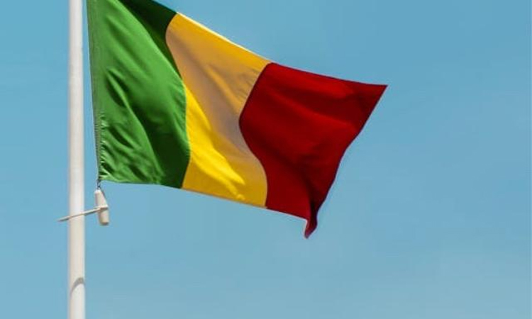 Mali cyberactivist free after I.Coast detention: lawyer