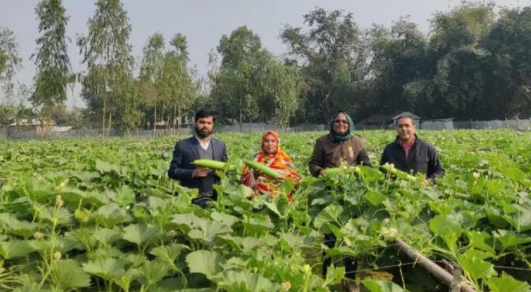 Dinajpur's Mizanur sets example with super green bottle gourd cultivation