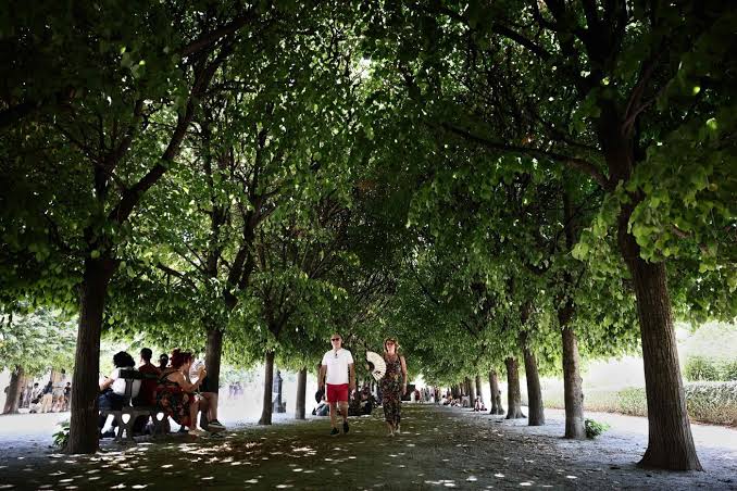 France puts half the country on red alert for heatwave on Monday