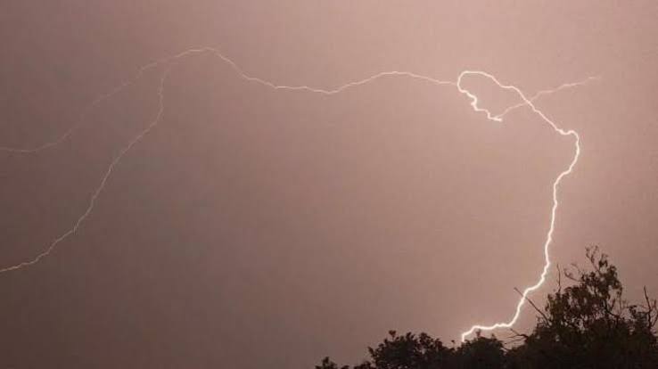 India monsoon sweeps north but brings less rain than usual