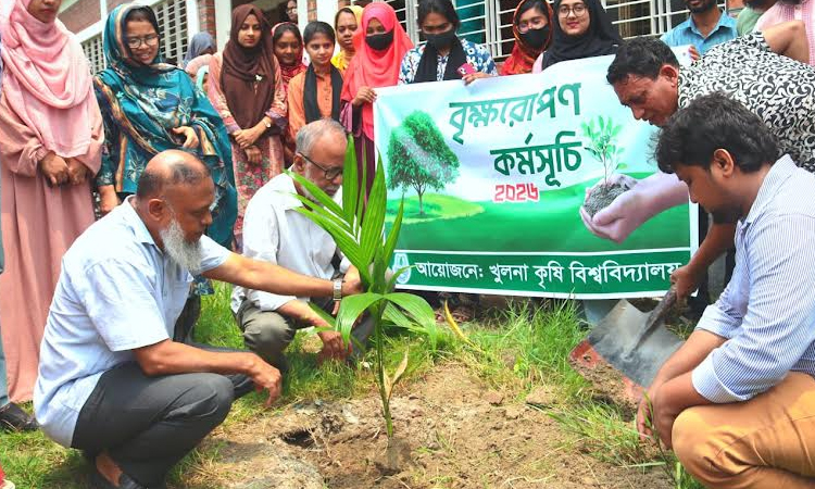 KAU launches tree plantation programme to support government's afforestation initiative