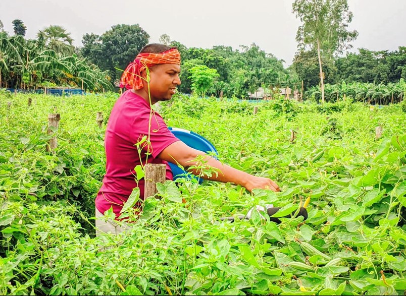 Farmer Rahim thrives with pointed gourd cultivation in Birganj