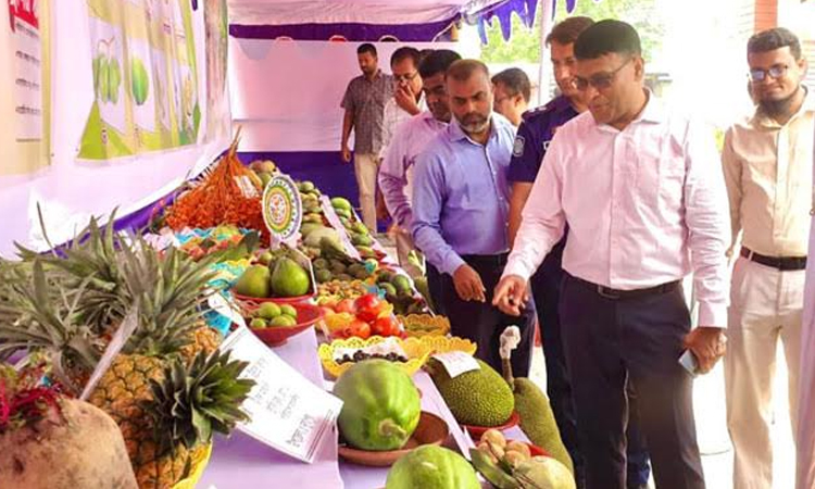 Fruit fair kicks off in Rajshahi
