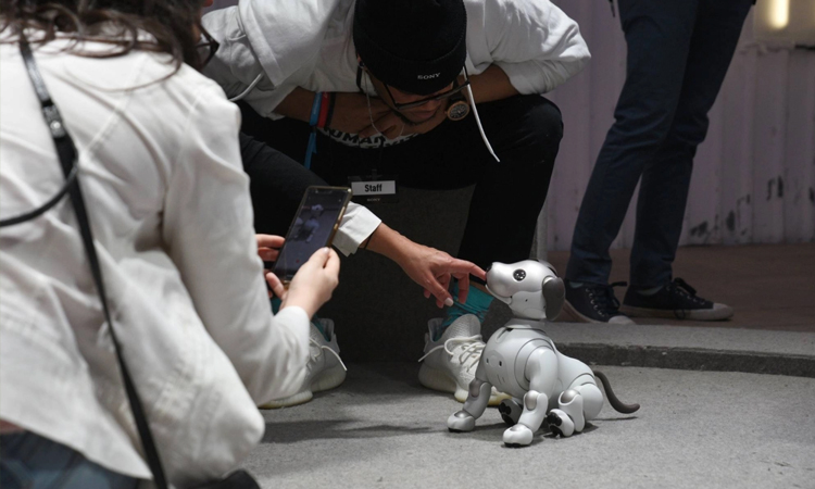Sony discontinues Japan sales of robot puppy 'aibo'