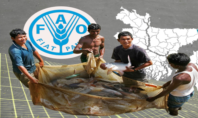 Bangladesh retains top global position in inland fisheries