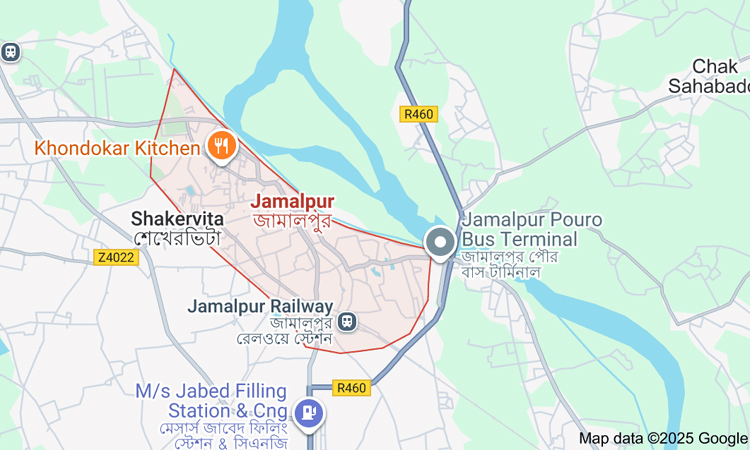 Man killed by wild elephant attack in Jamalpur