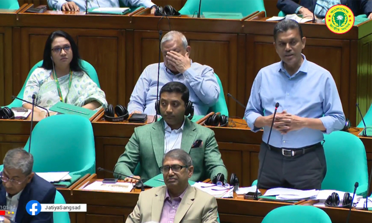 Proposed budget a bold plan for building new Bangladesh: Whip Bakul