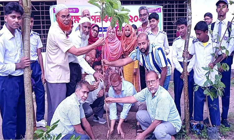 Call for planting trees with commitment to creating green environment