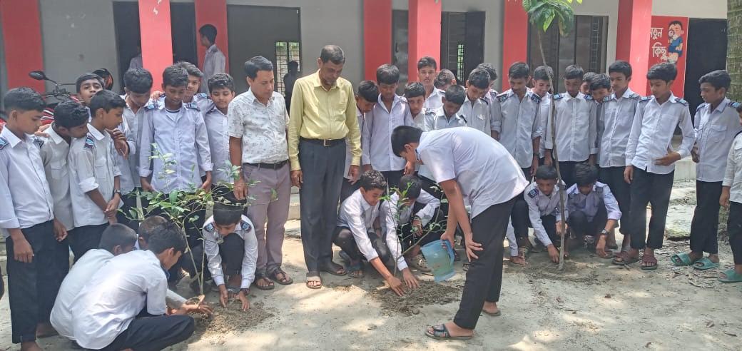 One child, one tree plantation activity held in Gaibandha