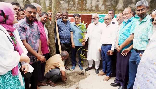 KCC launches tree plantation, cleanliness drive to prevent dengue