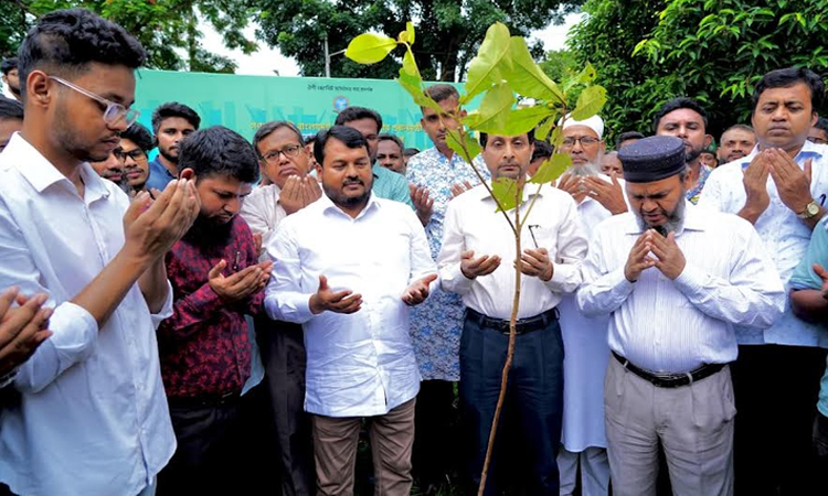 RCC Administrator inaugurates tree plantation programme at RUET