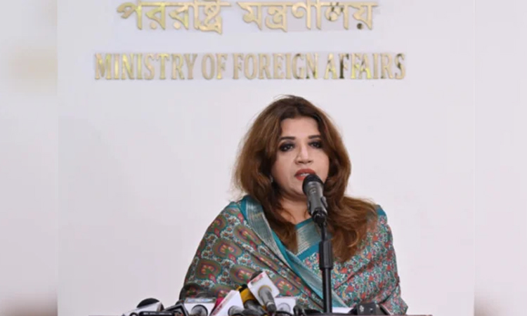 Govt pursuing Hasina's extradition to face trial: Shama