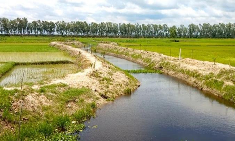 Re-excavation, Asharh rains revive two 'dead' canals in Naogaon