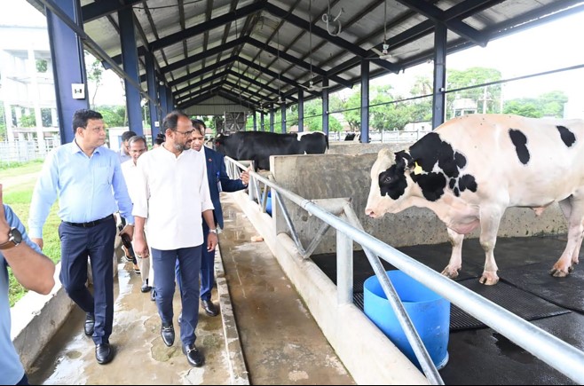 Govt taking effective steps to improve indigenous cattle breeds: State  Minister