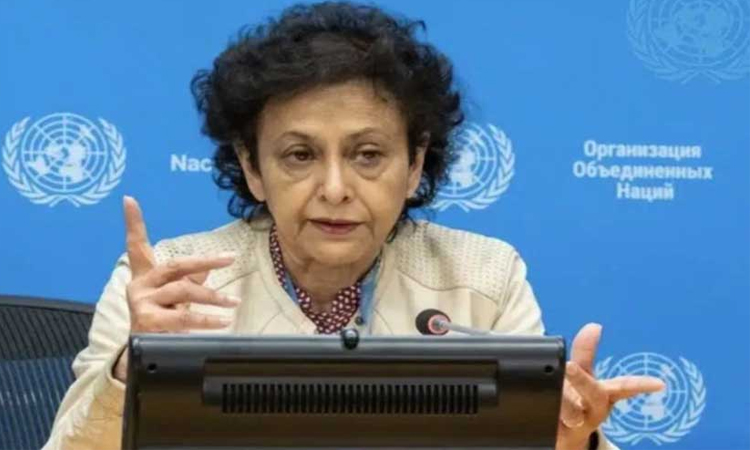 Newly appointed UN Permanent Representative Irene Khan gets state minister status