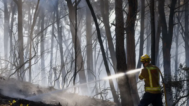 Spain wildfire death toll rises to 12