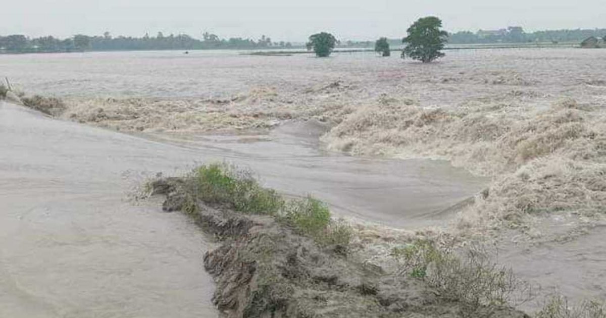5 rivers flowing above danger level: FFWC