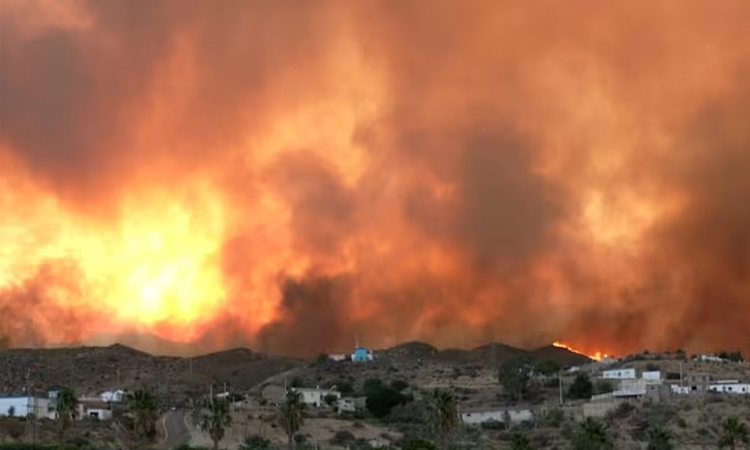 Eleven dead, 19 missing as Spain wildfire roars through village