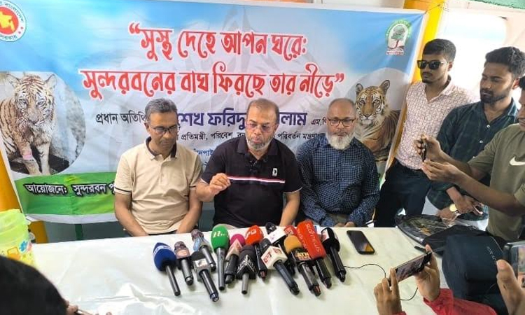 Rescued tigress released back into Sundarbans after six months of treatment