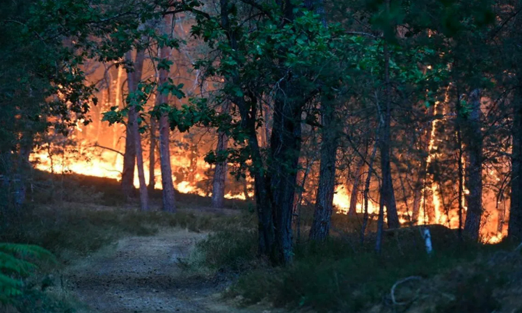 Major fire rages in Fontainebleau Forest near Paris