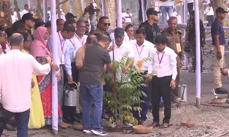 PM opens tree plantation campaign in Gournadi, Barsishal