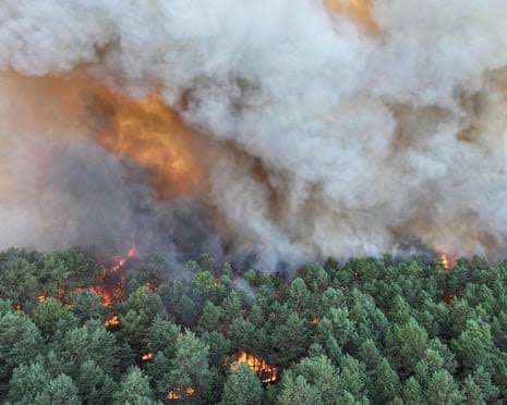 Planes fight fire in Fontainebleau forest near Paris