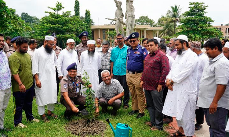 KUET, KMP jointly hold tree plantation programme