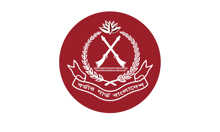 BGB arrests smuggler with 8 gold bars worth Tk 1.76cr in Chuadanga