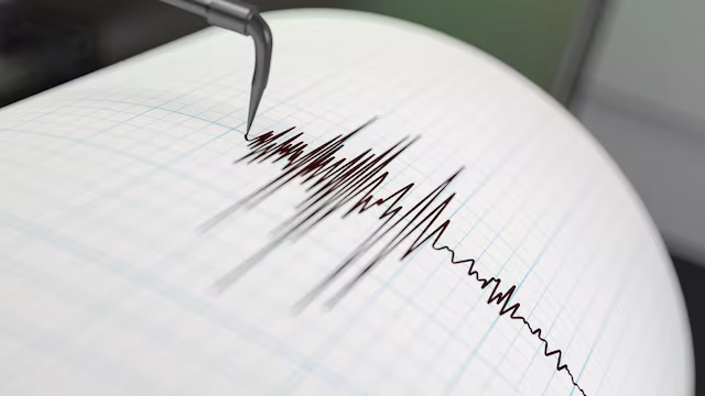 Magnitude 5.0 earthquake hits southeastern Turkey: disaster agency