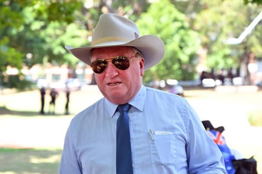 'Sit down!' Australian politician berates dog on live TV