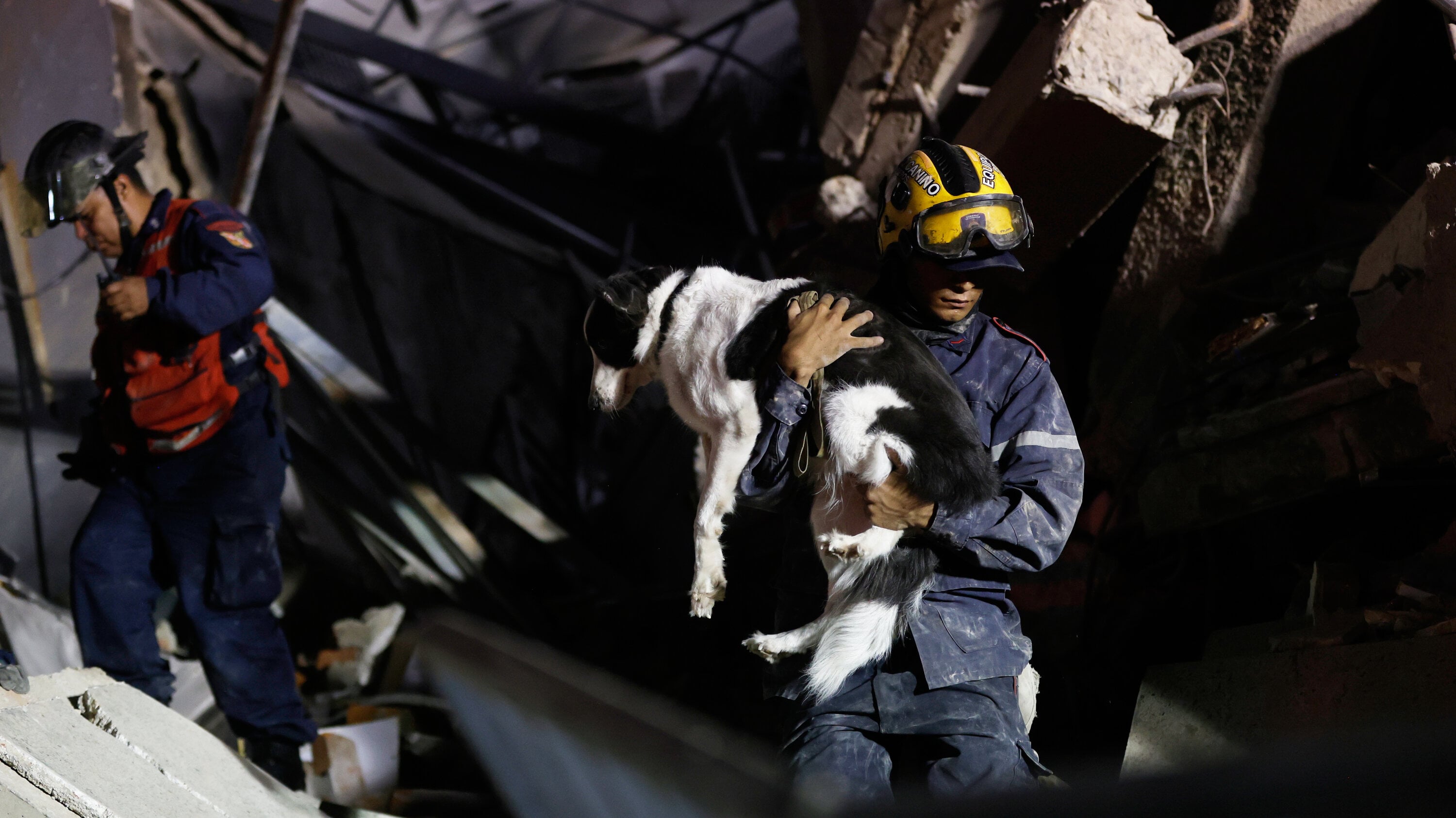 Venezuelans search for animal companions lost in the quakes