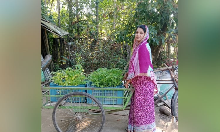From struggle to success: Jahanara's nursery venture wins national acclaim