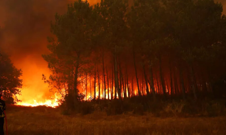 Residents return after wildfire near Madrid