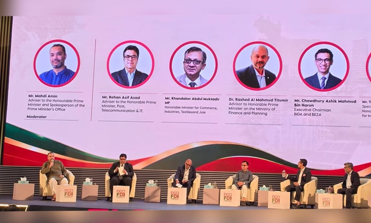 Govt committed to boosting foreign investment, improving business climate: Mahdi Amin